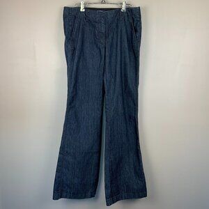 Ann Taylor Denim Blue Jeans Size 6 Modern Flare Casual Office Wear